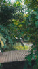 Video reel of a model walking across a wooden bridge surrounded by green foliage, wearing an off-white embroidered suit from the Bad-e-Saba collection by INEJ.